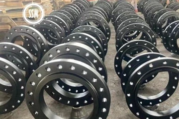 Flanșe de vopsea neagră ASTM A105N livrate clienților din Singapore